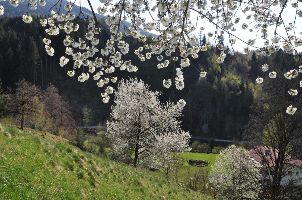 Gaestehaus Pension Edelweiss Kolsass Стая снимка